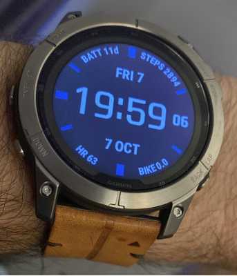 Garmin Watch Fenix 7X Sapphire Solar Titanium 010-02541-19 Watch